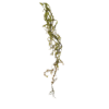 MOSS TWIG GARLAND 5"