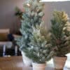 SNOW PINE W/ POT 14" - Imagen 2