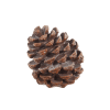 PINE CONE 7.25"